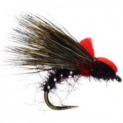 Claret Halfhog