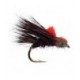 Claret Sedgehog - 1