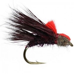 Claret Sedgehog