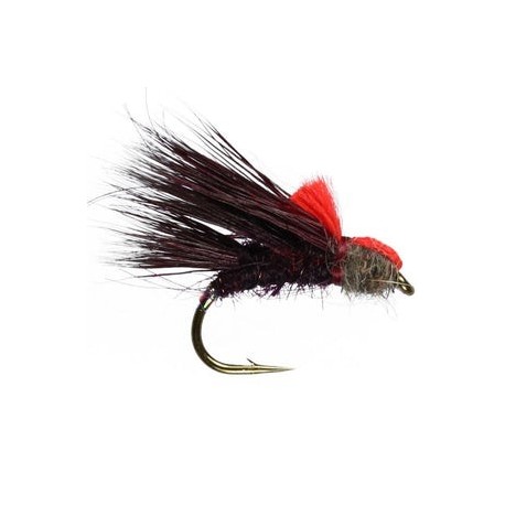 Claret Sedgehog - 1