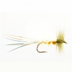 Damsel Dry Female - 1