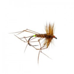 Deadly Daddy Long Legs - 1