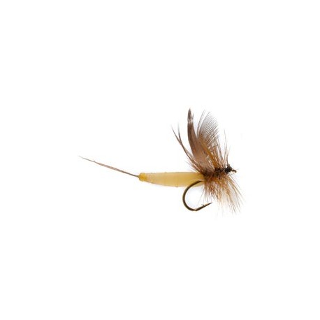 Detached Mayfly Brown Drake - 1