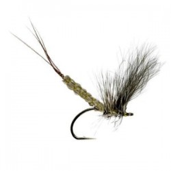 Detached Mayfly Cdc Dun - 1