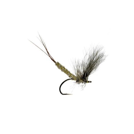 Detached Mayfly Cdc Dun - 1