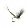 Detached Mayfly Cdc Dun