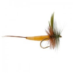 Detached Mayfly Green Drake - 1