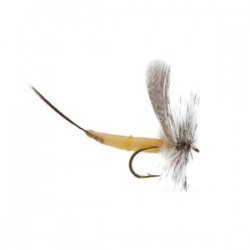 Detached Mayfly White Drake - 1