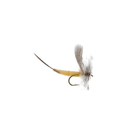 Detached Mayfly White Drake - 1
