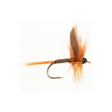 Dry Winged Red Quill - 1