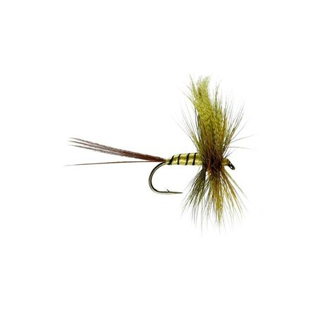 Erne Special Mayfly - 1