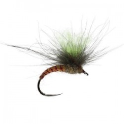 Fussy Spinner - 1