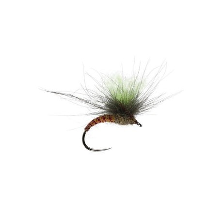 Fussy Spinner - 1