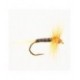 Ginger Quill - 1