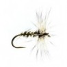 Gold Ribbed Hares Ear
