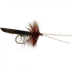 Green Peter Murrough Sedge - 1