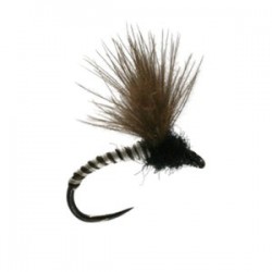 Hairdresser Midge Emerger - 1