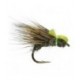 Hares Ear Halfhog - 1