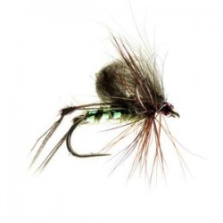 Hopper Olive Cdc - 1