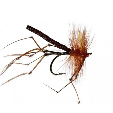 Hopper Daddies 288 C 1200X1200 - 1