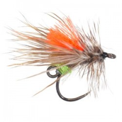 Indicator Caddis - 1