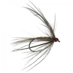 Iron Blue Jingler - 1