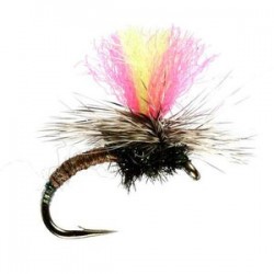 Klinhammer Hi Vis Tan - 1