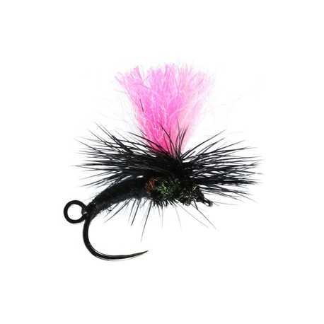 Klink and Dink Black Midge - 1