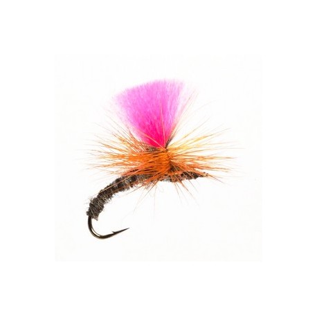 Klinkhammer Dark - 1