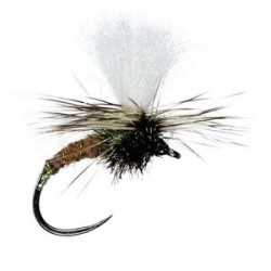 Klinkhammer Soir - 1