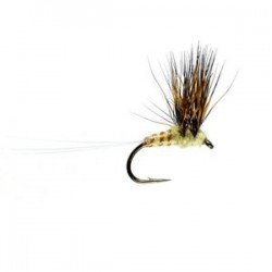 Lake Double Decker - 1