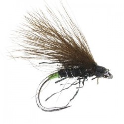Little Leggy F Fly Black - 1