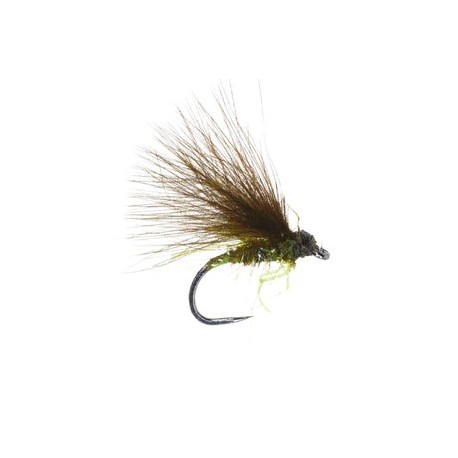 Little Leggy F Fly Olive - 1