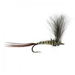 Mayfly Baz - 1