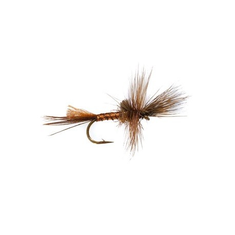 Mayfly Brown Drake Cripple - 1