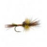 Mayfly Green Drake Cripple