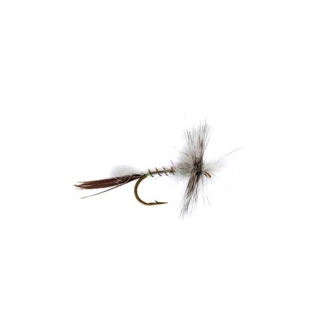 Mayfly White Drake Cripple - 1
