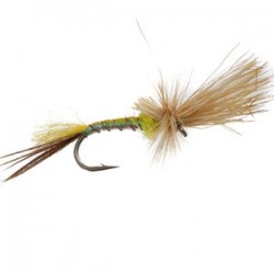 Mayfly Yellow Drake Cripple - 1