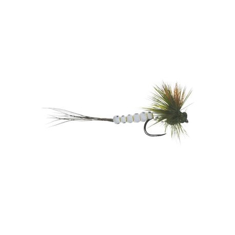 Mohican Mayfly - 1