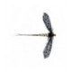 Moose Main Spent Mayfly - 1
