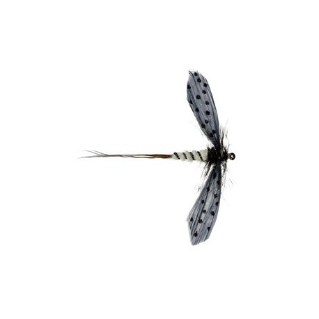 Moose Main Spent Mayfly - 1