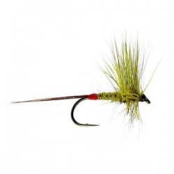 Mosley Mayfly - 1