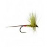 Mosley Mayfly